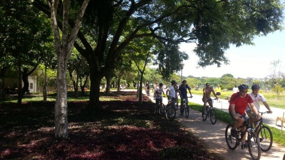 bicicletas no parque