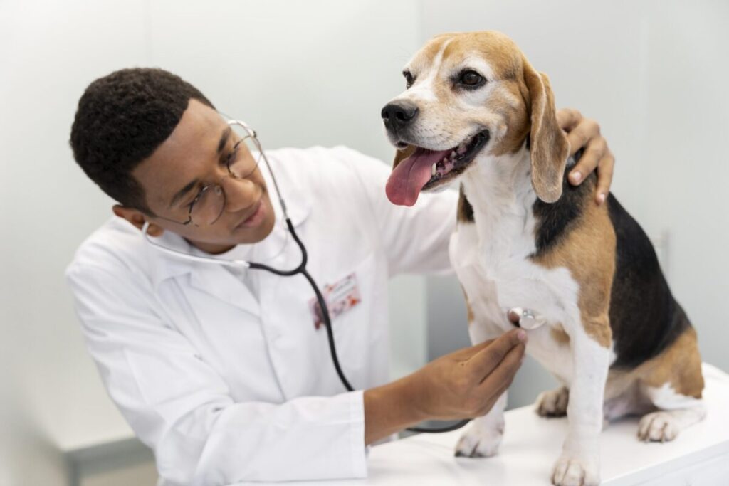Veterinário realizando exame de sangue em um cachorro no laboratório LAPAVET