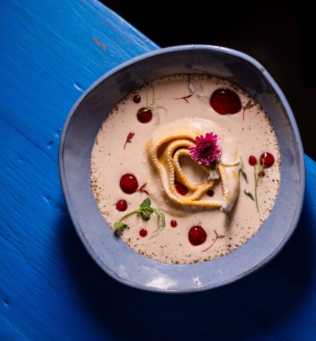 Prato colorido e saboroso de uma refeição vegetariana, destacando ingredientes frescos e um ambiente acolhedor de um restaurante em São Paulo